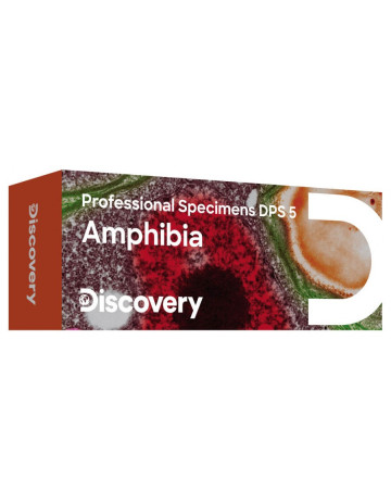 Discovery Prof samples DPS 5. “Amphibia” Set