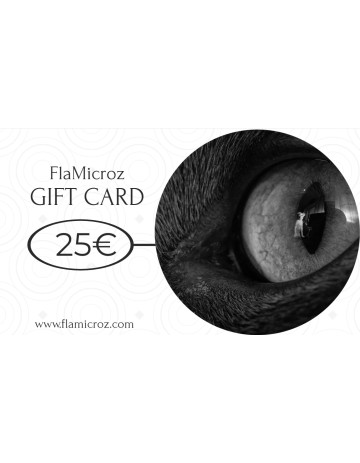 FlaMicroz E-kinkekaart 25€