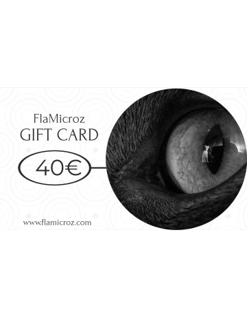 FlaMicroz E-Gift Card 40€