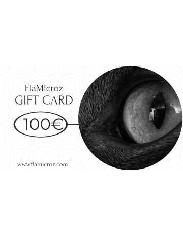 FlaMicroz E-Gift Card 100€